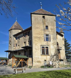🏰 Château de Saint-Barthélemy