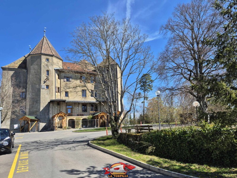 Côté Sud-Ouest, château de Saint-Barthélemy, Gros-de-Vaud