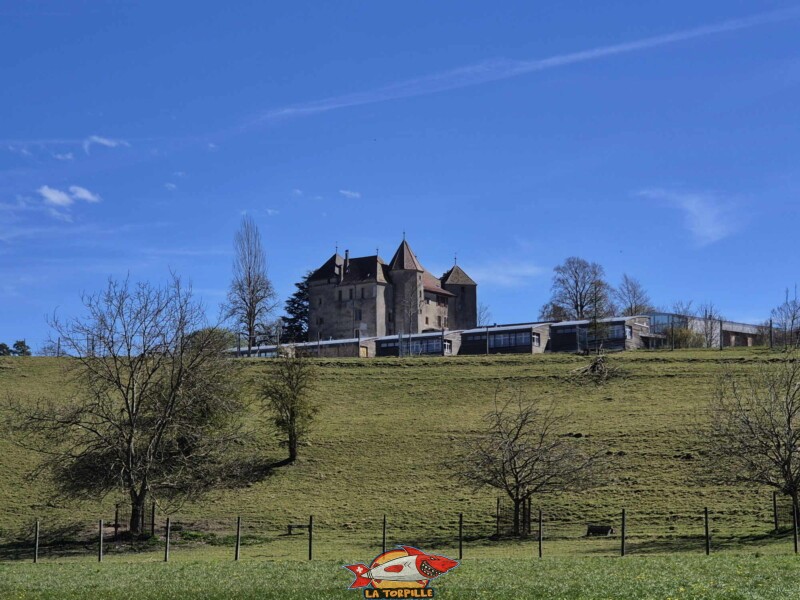 La vue depuis le sud-ouest sur le château depuis la ferme de la Fondation St-Barthelémy.