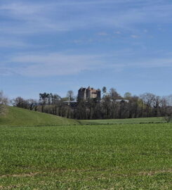 🏰 Château de Saint-Barthélemy