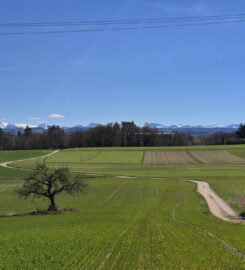 🏰 Château de Saint-Barthélemy