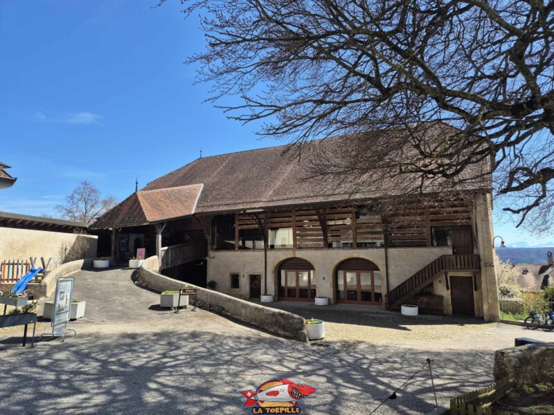 L'imposant bâtiment dans lequel se trouve le musée du cheval.