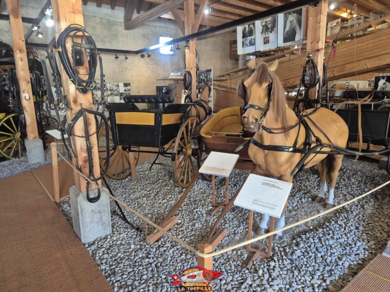 L'intérieur du musée du cheval.