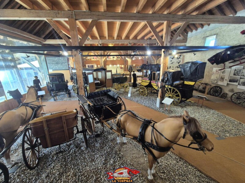 Le parterre du musée du Cheval avec la présentation d'hippomobiles. Le parterre du musée du Cheval avec la présentation d'hippomobiles.
