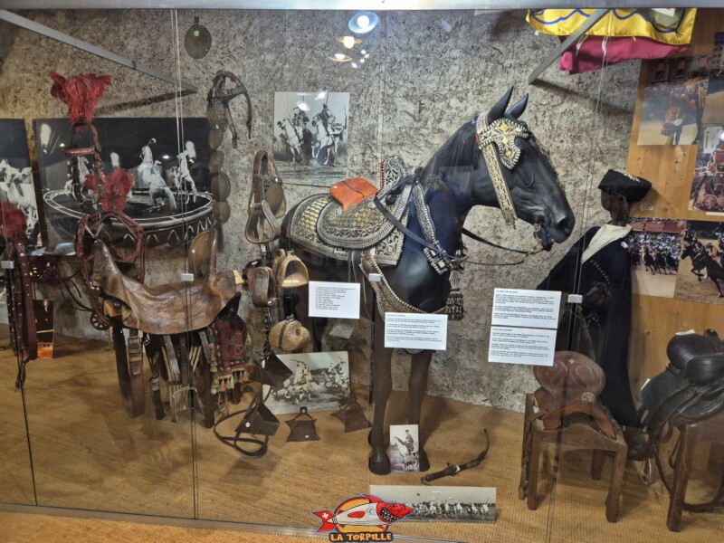 Le cheval et l'armée