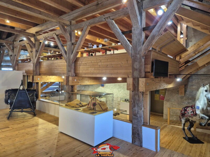 Expositions temporaires