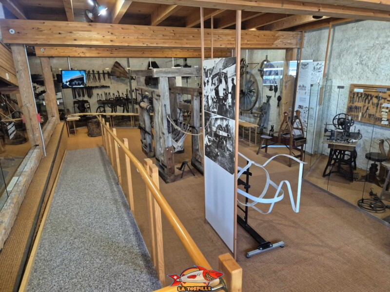 Les métiers liés au cheval