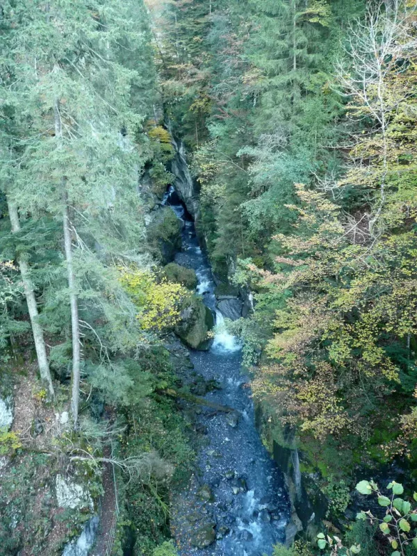 Les gorges de l'Avançon. Gorges de l'Avançon, Les Plans-sur-Bex.