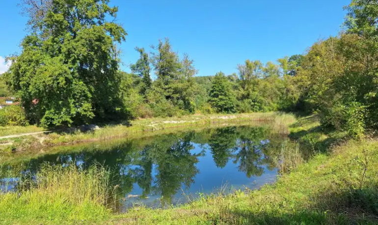 🚤 Étang de la Touvière – Avully