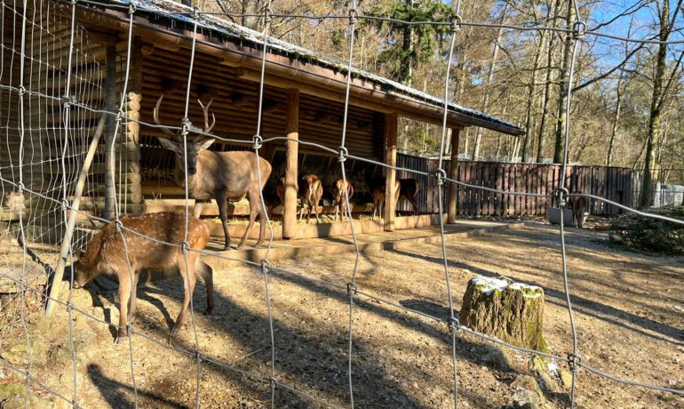 🐅 Parc Zoologique de Bienne