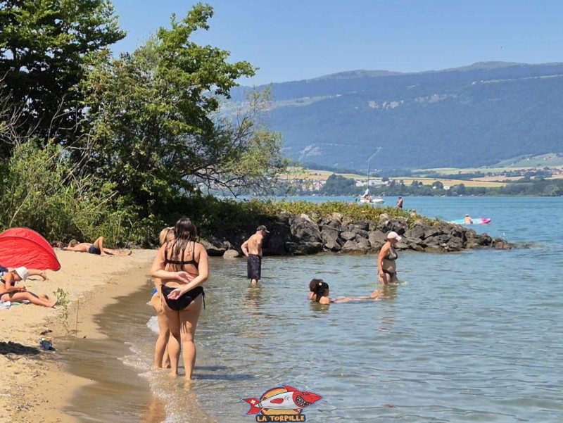 Côté Ouest. Plage de Châble-Perron, lac de Neuchâtel.