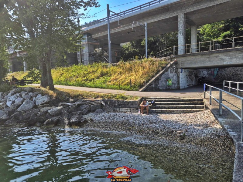 Une tout petit zone de galets au sud du port d'Alfermée. Plage du Port Alfermée, Douanne-Daucher, Twann-Tüscherz.
