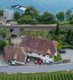 🍔 Musée de la Vigne au Lac de Bienne – La Neuveville