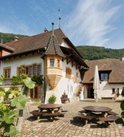 🍔 Musée de la Vigne au Lac de Bienne – La Neuveville