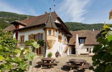 🍔 Musée de la Vigne au Lac de Bienne – La Neuveville