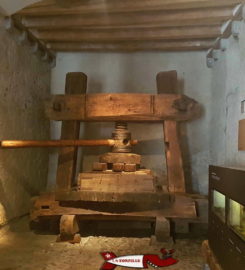 🏰 Château d’Aigle