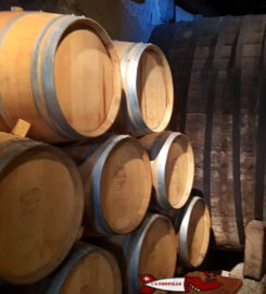 🏰 Château d’Aigle