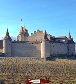 🏰 Château d’Aigle