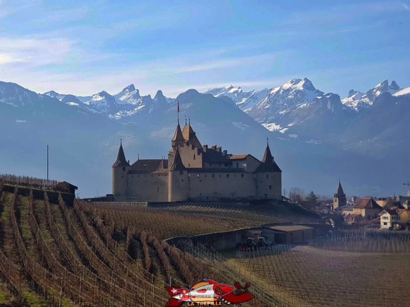 Le château d'Aigle dans le vignoble. Aigle