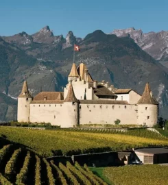 🏰 Château d’Aigle