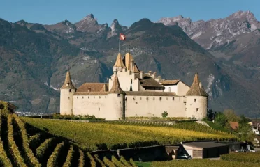 🏰 Château d’Aigle