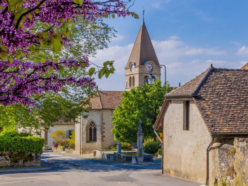 Le village de Bursins.