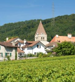 🏘️ Village de Bursins