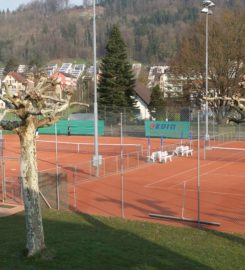 🎾🥎 Tennis Club Brügg