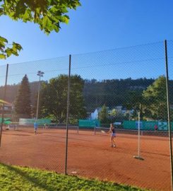 🎾🥎 Tennis Club Brügg