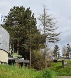 🌃 Discothèque Le Crazy Club – Fribourg