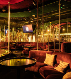 🌃 Discothèque Velvet Club – Genève