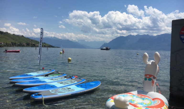 🌊 Following John – Activités Nautiques