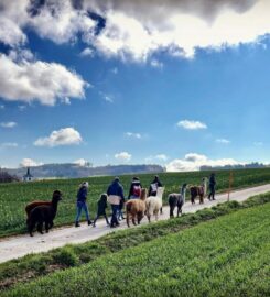 🐶 Alpagaga – Dompierre