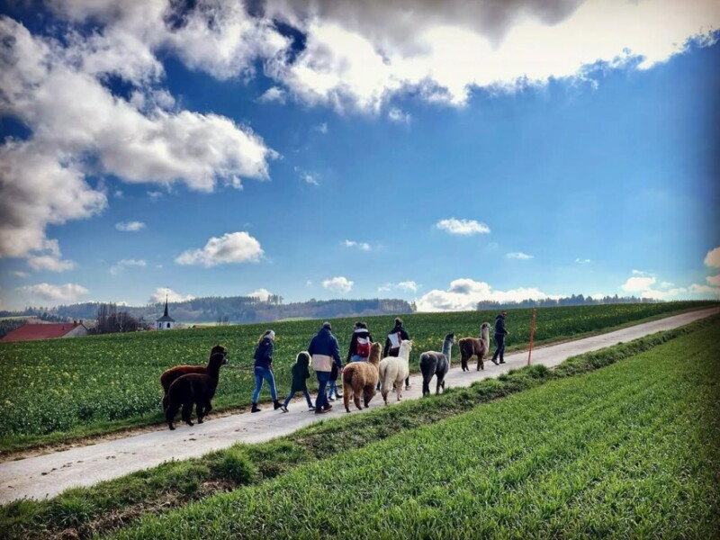 Alpagaga - Domdidier