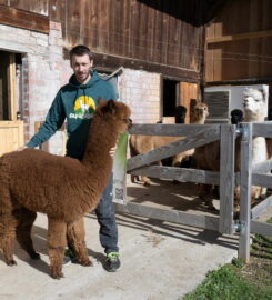 🐶 Alpagaga – Dompierre