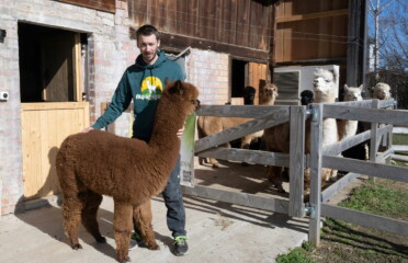 🐶 Alpagaga – Dompierre