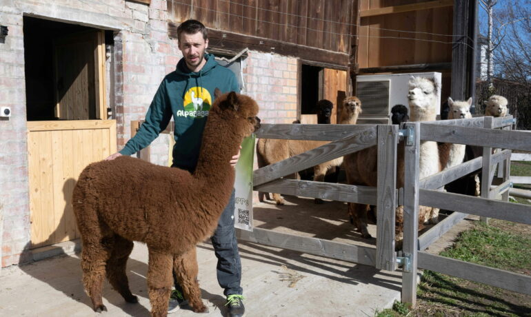 🐶 Alpagaga – Dompierre