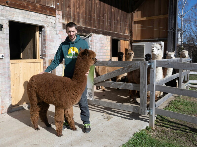 Alpagaga - Domdidier