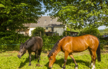 🐐 Ferme du Bonheur – Chez l’Gaby – Porrentruy
