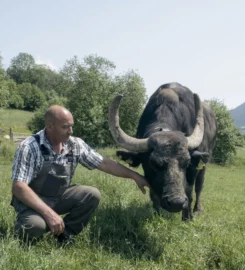 🐶 Ferme des Buffles – Travers