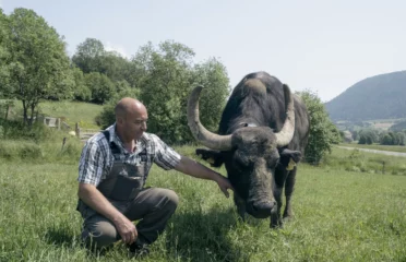 🐶 Ferme des Buffles – Travers