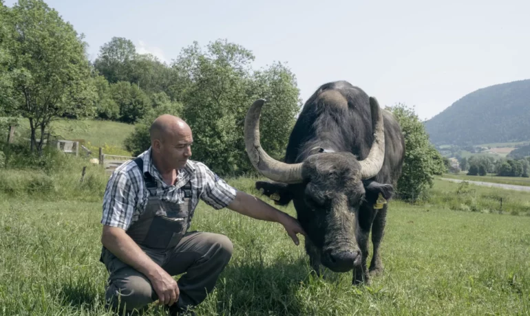 🐶 Ferme des Buffles – Travers