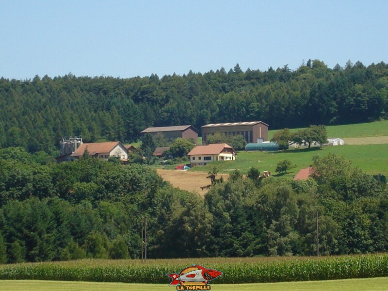 Ferme les Biolles - Oleyres