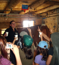 🐶 Ferme les Biolles – Oleyres