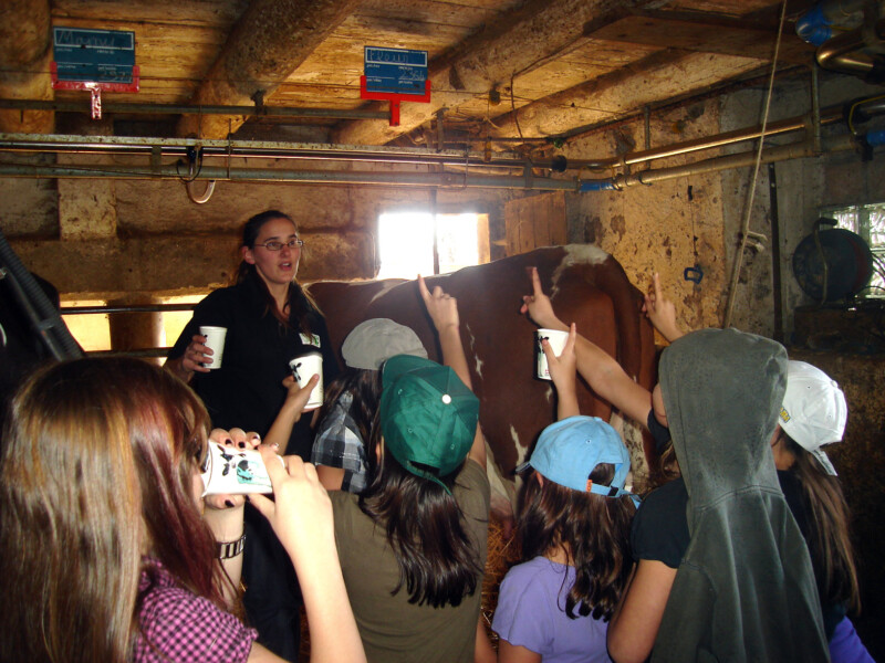 Ferme les Biolles - Oleyres