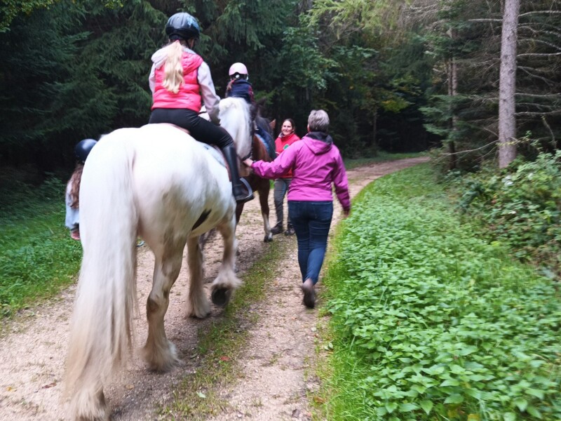 Ferme les Biolles - Oleyres