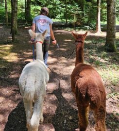 🐶 Ferme les Biolles – Oleyres