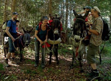 🐶 Itinér’ânes – La Coudre