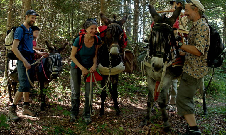 🐶 Itinér’ânes – La Coudre