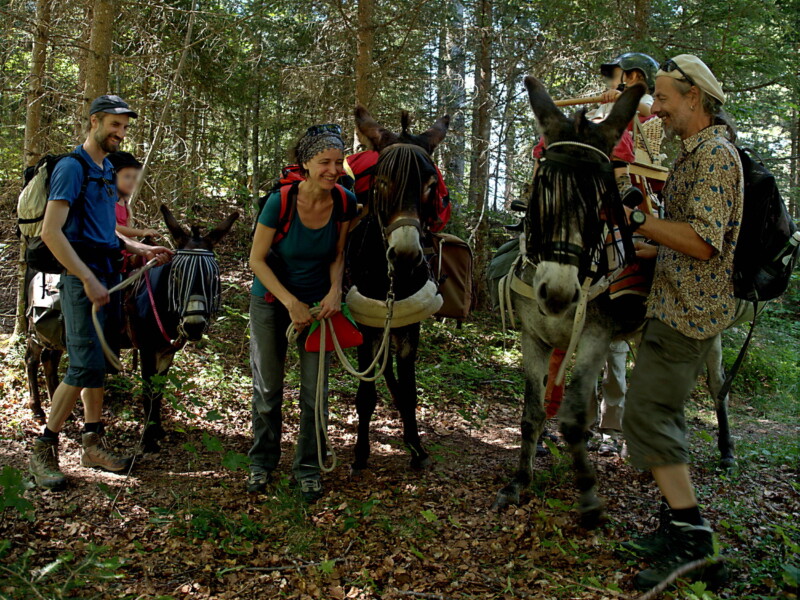 Itinér'ânes - La Coudre